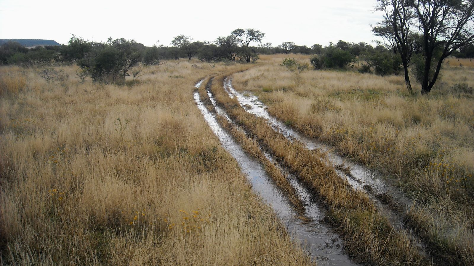 DSCN2756.JPG
